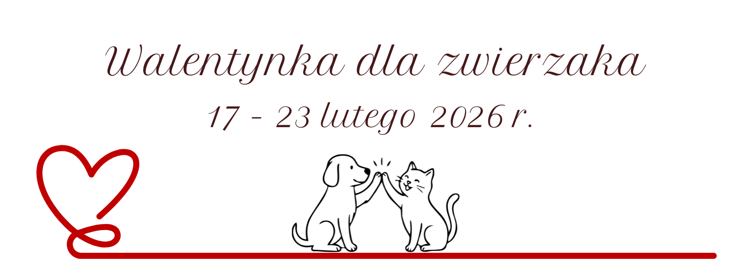 Zbiórka darów dla schroniska