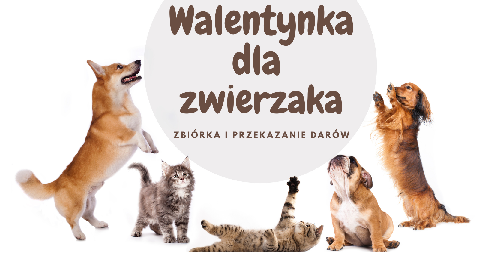 Walentynka dla zwierzaka-przekazanie darów!