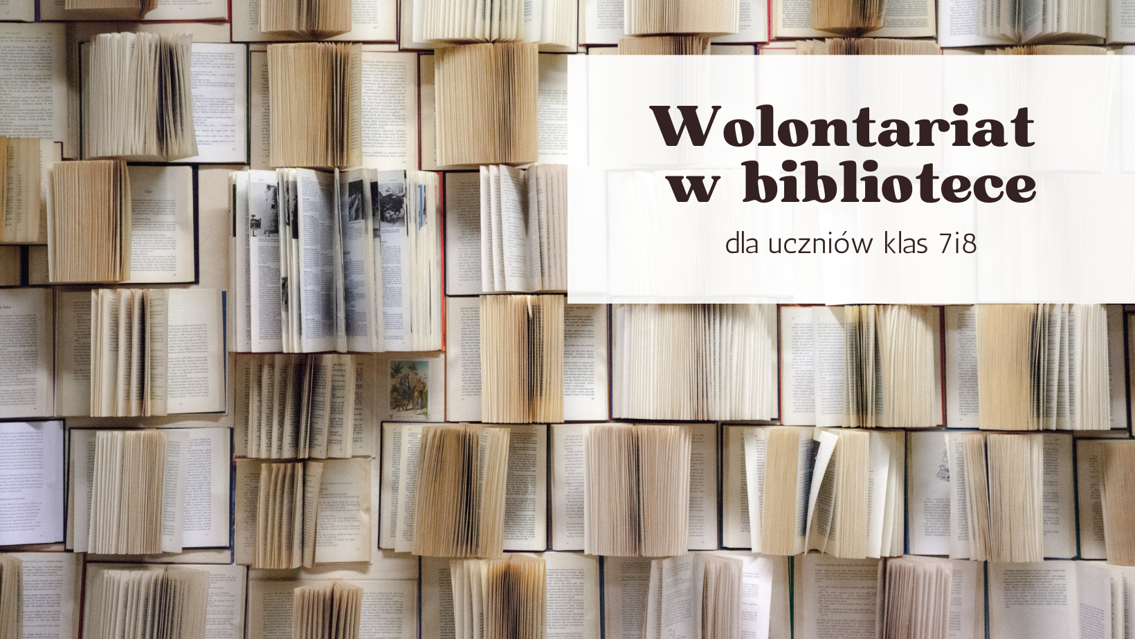 Wolontariat w bibliotece