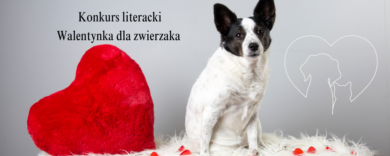 Konkurs literacki